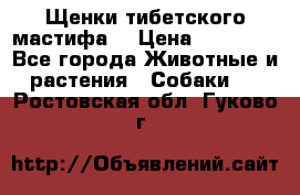 Щенки тибетского мастифа. › Цена ­ 30 000 - Все города Животные и растения » Собаки   . Ростовская обл.,Гуково г.